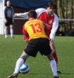 thm_Rothemann - SVS 13.4.08 17.gif